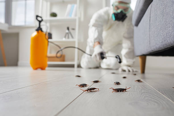 Commercial Kitchen Cockroach Control in Leavittsburg